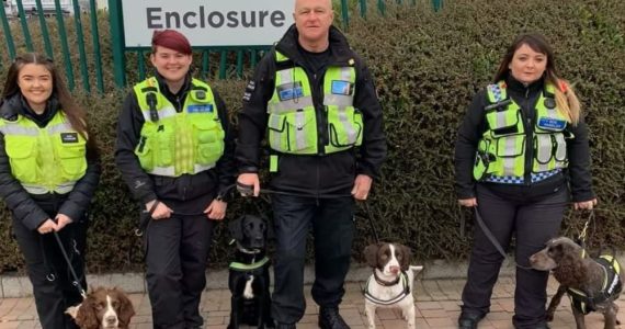 K9 Handlers 1